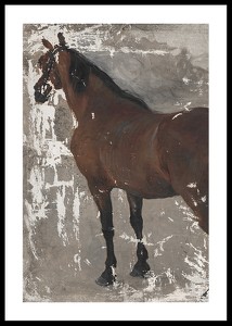 Štúdia koňa By Jozef Hanula-0