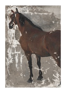 Poster Štúdia koňa By Jozef Hanula
