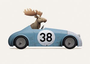 Moose In Toy Car-3
