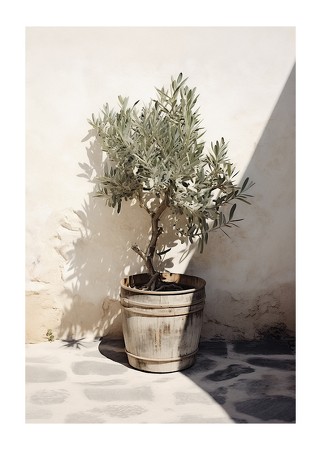 Poster Olive Tree Mediterranean No2