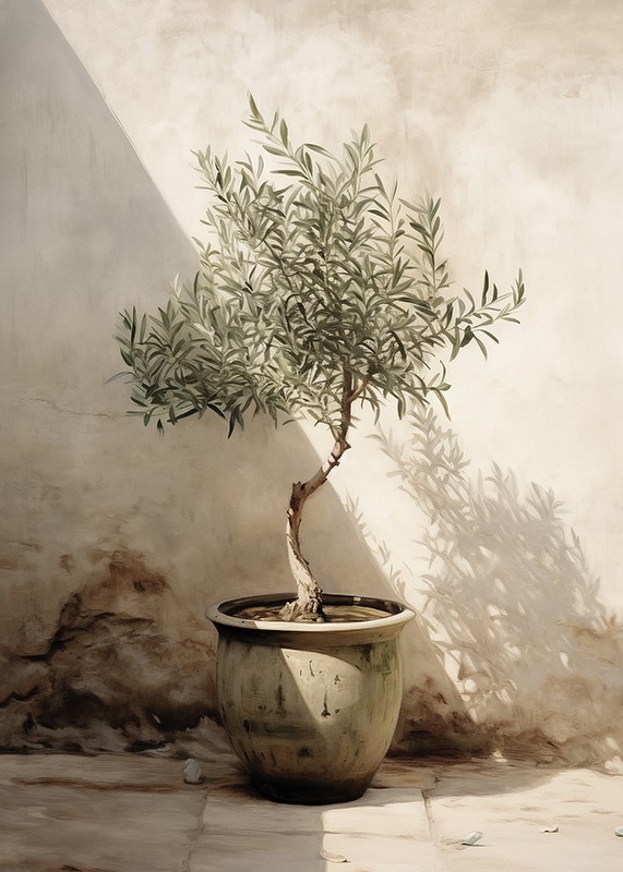 Olive Tree Mediterranean No1-3