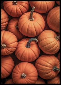 Pumpkins-2