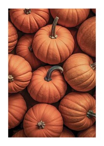 Pumpkins-1