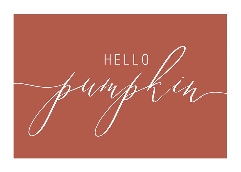 Hello Pumpkin-1