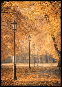 Autumn Walkway-2