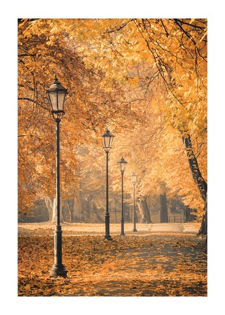 Poster Autumn Walkway