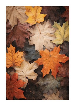 Poster Multicolored Autumn Leaves