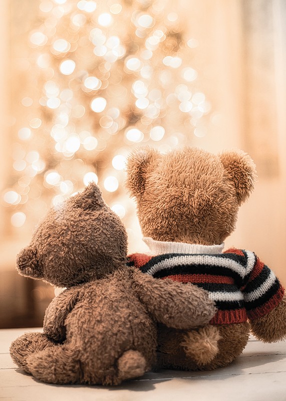 Teddy Bears By Christmas-3