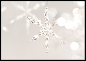 Snowflake Decoration-2