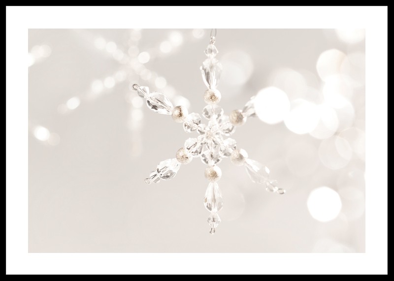 Snowflake Decoration-0