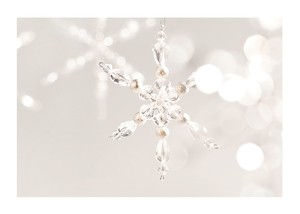Snowflake Decoration-1
