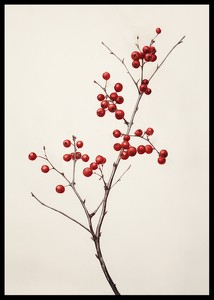 Branch And Red Berries-2