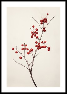 Branch And Red Berries-0