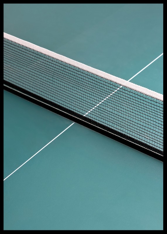 Tennis Net-2