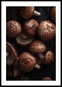 Mushrooms No2-0