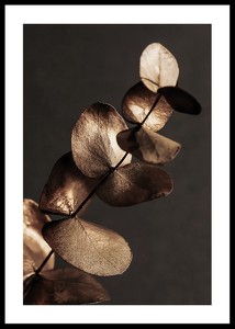Eucalyptus Gold & Brown-0