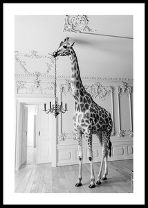 Giraffe Indoor B&W-0