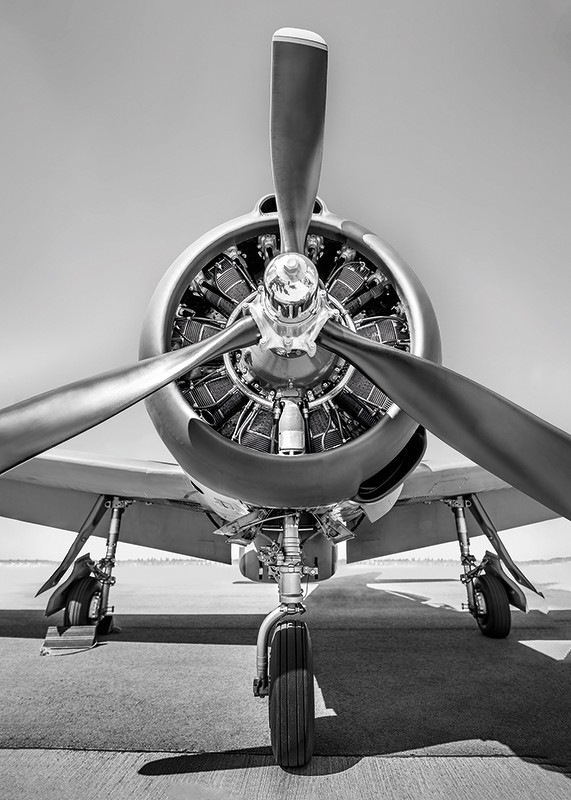 Vintage Propeller Aircraft B&W-3