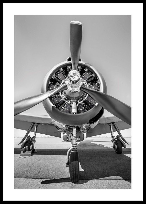 Vintage Propeller Aircraft B&W-0