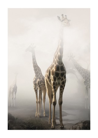 Poster Giraffes Sky High