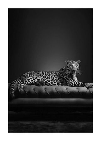 Poster The Pet Leopard B&W