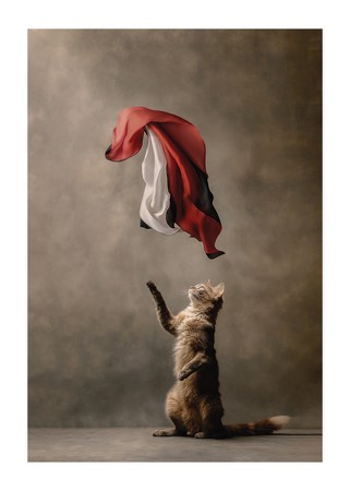 Poster Playful Cat Studio Elements