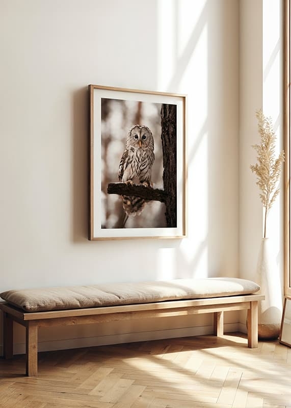 Poster Owl crossfade