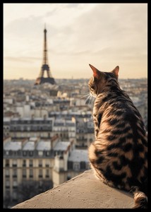 Cat In Paris-2