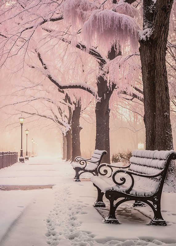 Winter In Pink-3