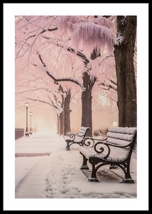 Winter In Pink-0