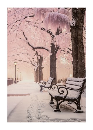 Poster Winter In Pink