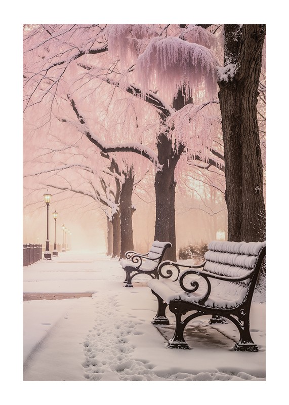 Winter In Pink-1