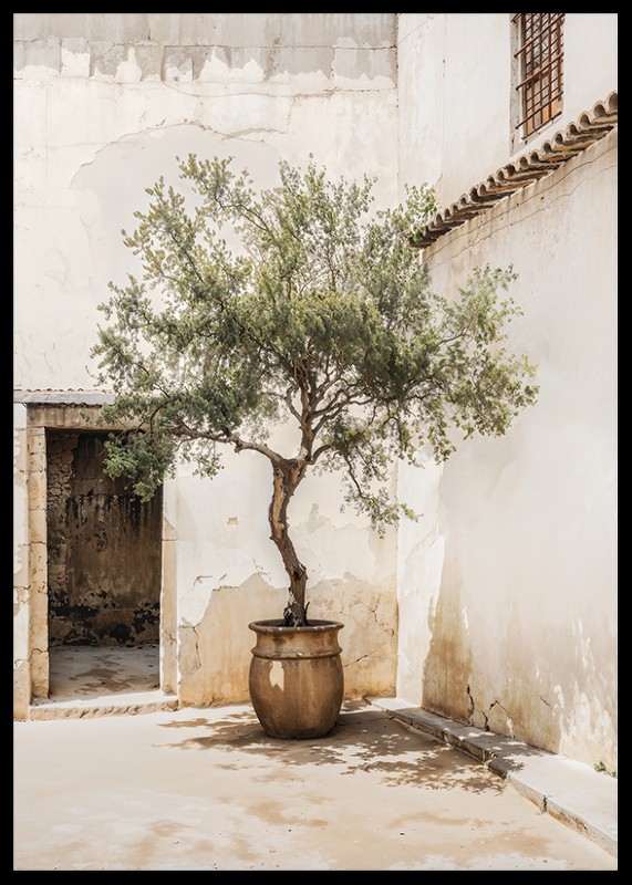 Olive Tree Mediterranean Setting No2-2