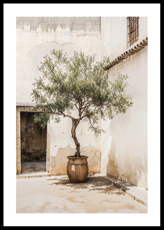 Olive Tree Mediterranean Setting No2-0