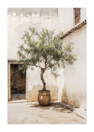 Poster Olive Tree Mediterranean Setting No2