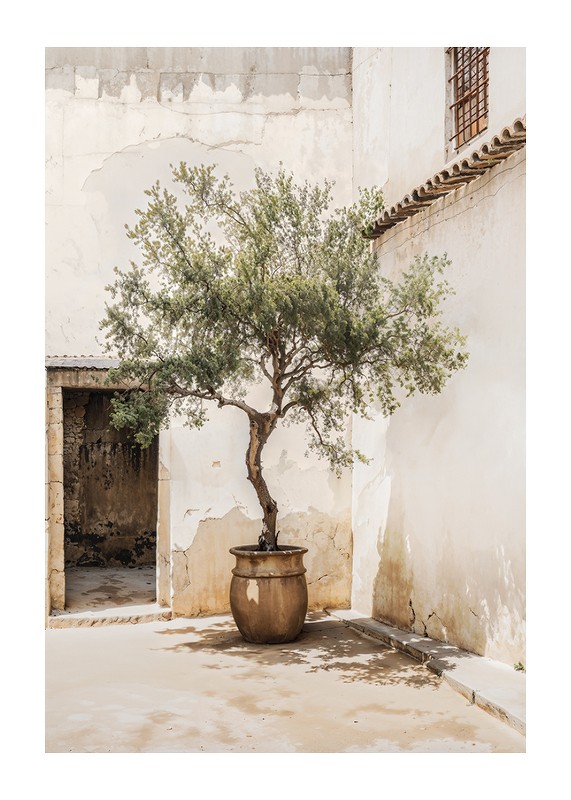 Olive Tree Mediterranean Setting No2-1