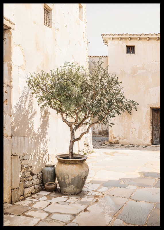 Olive Tree Mediterranean Setting No1-2