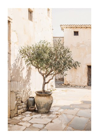 Poster Olive Tree Mediterranean Setting No1