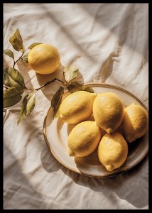 Zestful Lemons-2