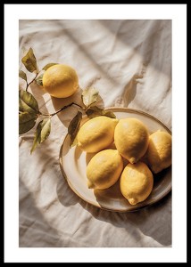 Zestful Lemons-0
