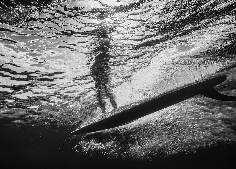 Poster alb-negru cu o fotografie a unei vederi subacvatice cu silueta unui surfer-3