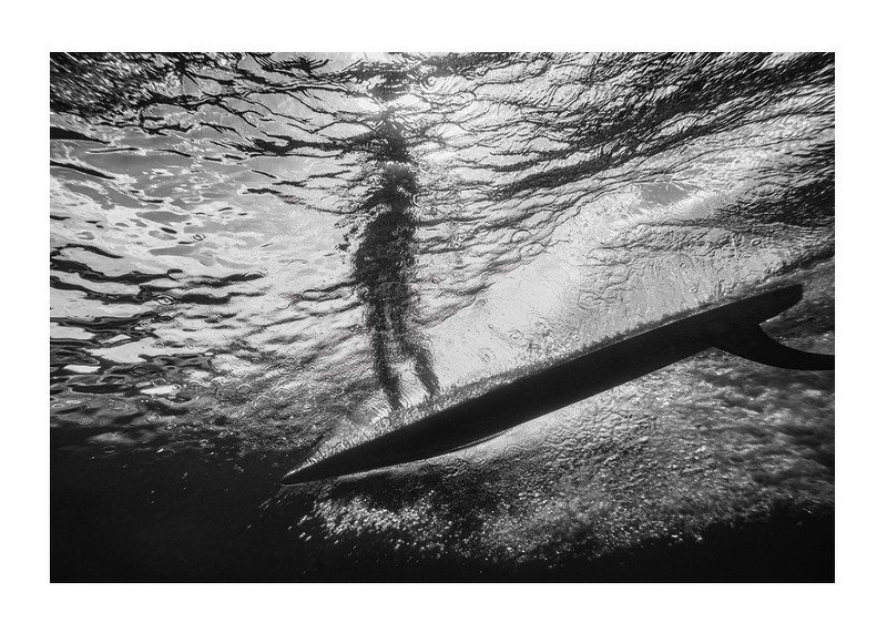 Poster alb-negru cu o fotografie a unei vederi subacvatice cu silueta unui surfer-1