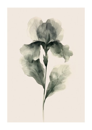 Poster Aquarelle Bloom