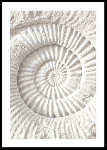 Poster cu o sculptură detaliată în piatră care imită o fosilă de scoici de nautilus-0