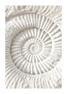 Poster cu o sculptură detaliată în piatră care imită o fosilă de scoici de nautilus-1