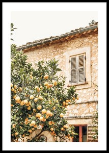 Poster cu o fotografie a unui lămâi într-un mediu mediteranean-0
