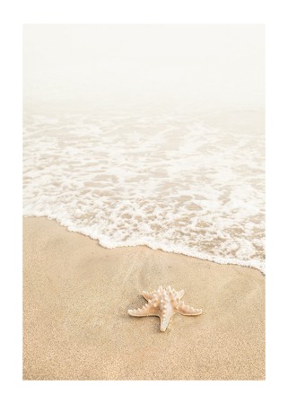 Poster Shoreline Starfish