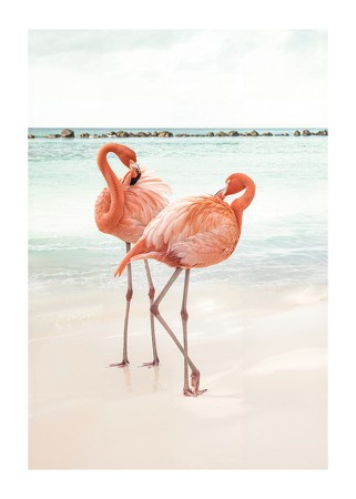 Poster Flamingo Beach Duo
