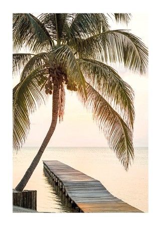 Poster Tropical Serenity Sunset